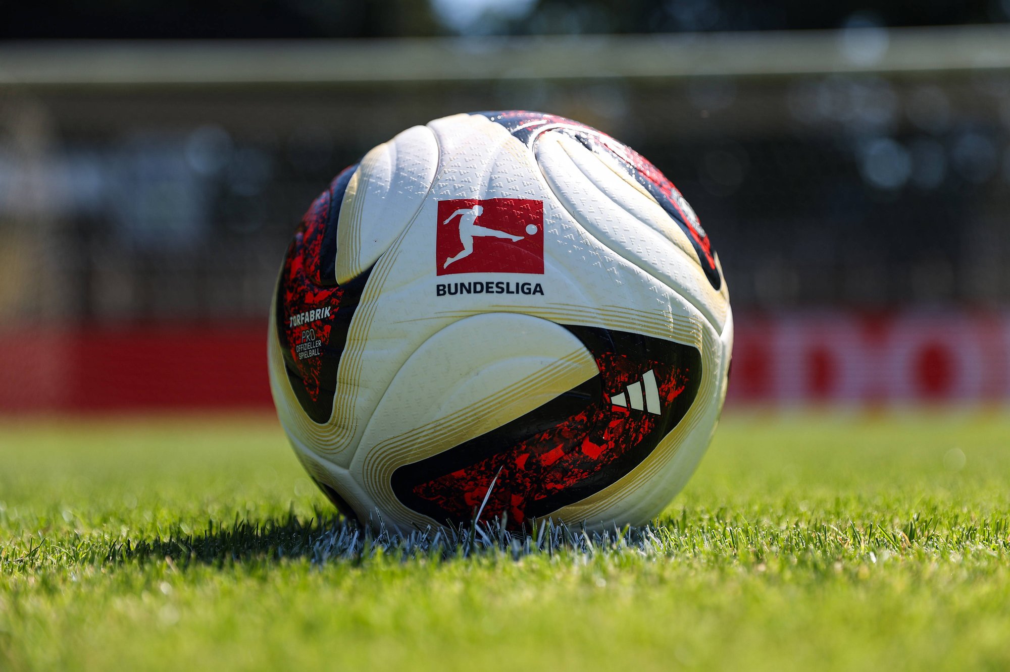 Official Bundesliga match ball on the football pitch. Official Bundesliga match ball on the football pitch.