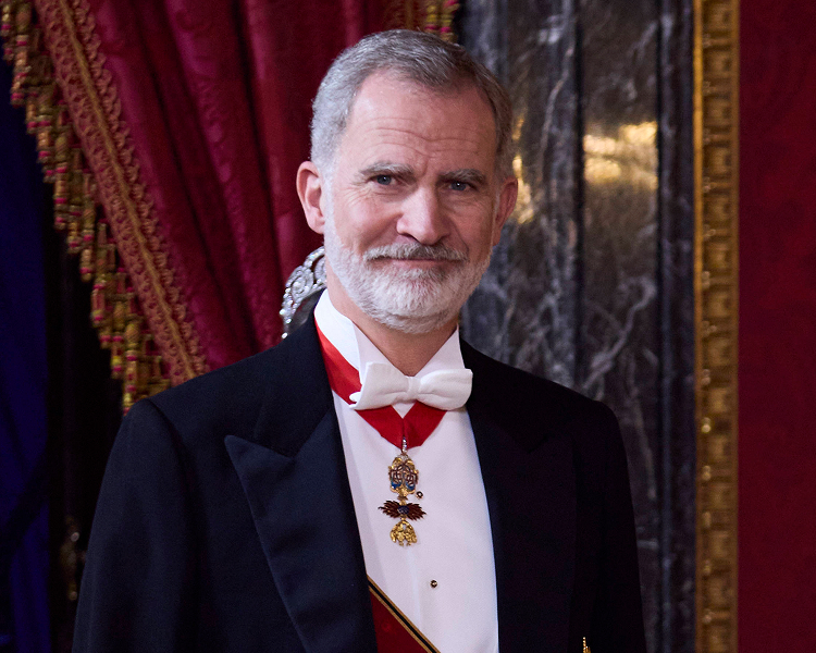 King Felipe VI of Spain, representing premium editorial images of kings and monarch portraits.